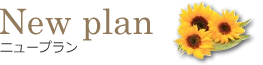 New plan